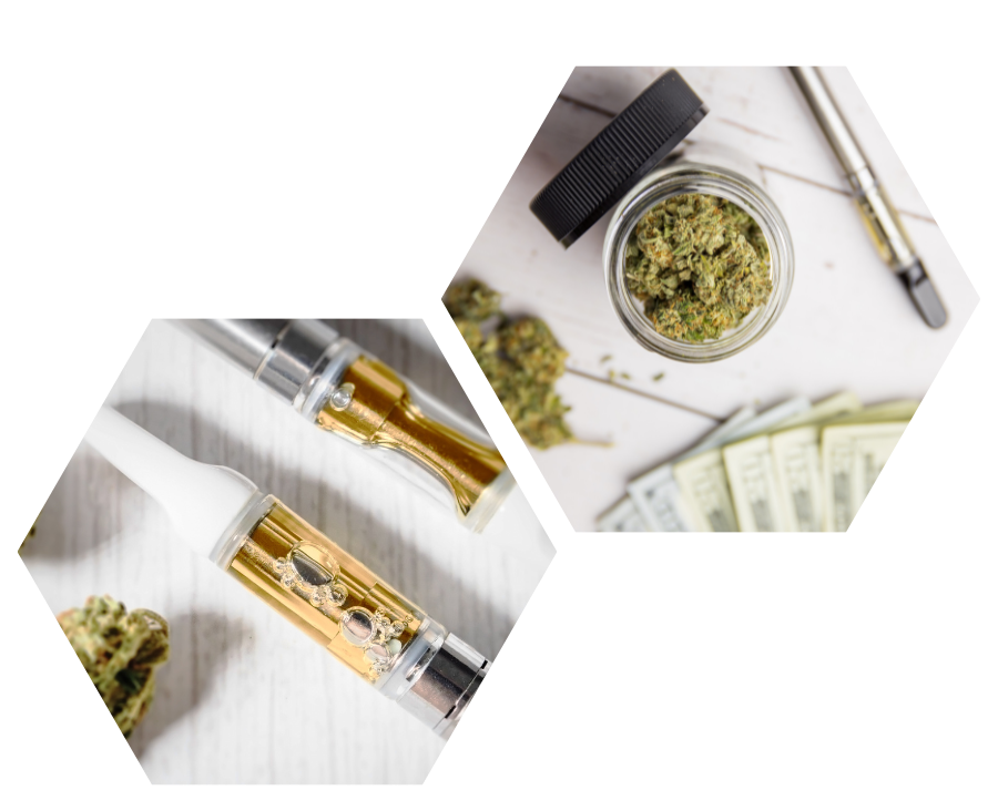 Brands Winning Cannabis - 2023 U.S. Brand Health Study